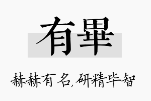 有毕名字的寓意及含义