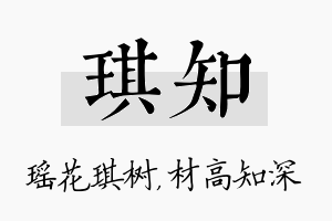 琪知名字的寓意及含义