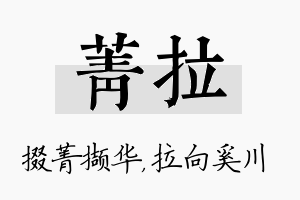 菁拉名字的寓意及含义