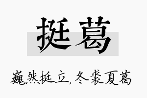 挺葛名字的寓意及含义