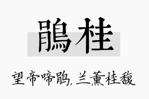 鹃桂名字的寓意及含义