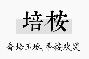 培桉名字的寓意及含义