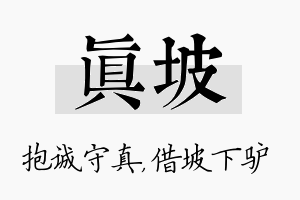 真坡名字的寓意及含义