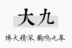 大九名字的寓意及含义