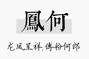 凤何名字的寓意及含义