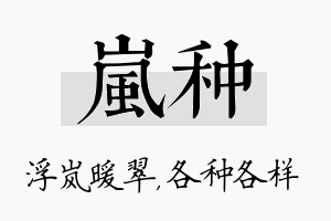 岚种名字的寓意及含义