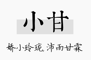 小甘名字的寓意及含义