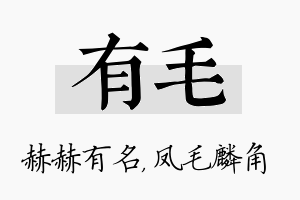 有毛名字的寓意及含义