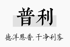 普利名字的寓意及含义