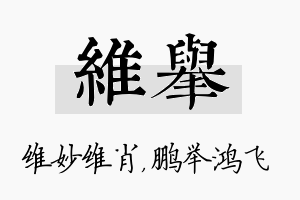 维举名字的寓意及含义