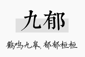 九郁名字的寓意及含义