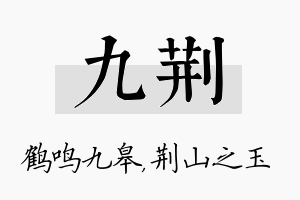 九荆名字的寓意及含义