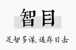 智目名字的寓意及含义