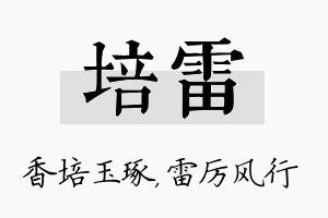 培雷名字的寓意及含义