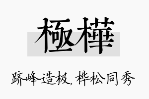 极桦名字的寓意及含义