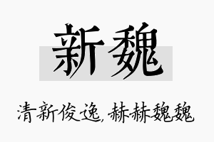 新魏名字的寓意及含义