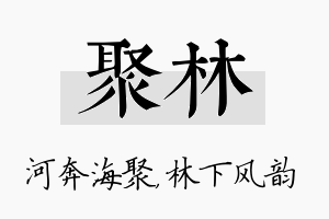 聚林名字的寓意及含义