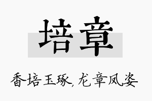 培章名字的寓意及含义