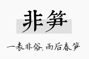 非笋名字的寓意及含义