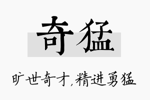 奇猛名字的寓意及含义