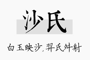 沙氏名字的寓意及含义