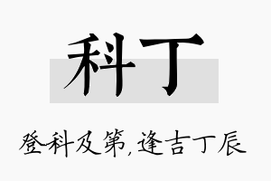 科丁名字的寓意及含义