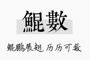 鲲数名字的寓意及含义