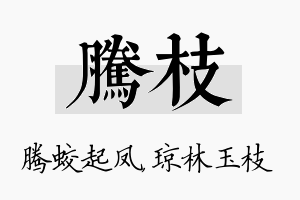 腾枝名字的寓意及含义