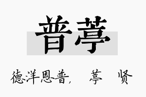 普葶名字的寓意及含义