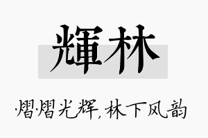 辉林名字的寓意及含义