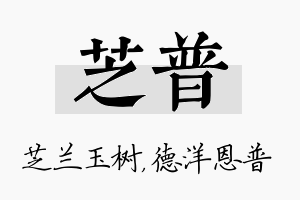 芝普名字的寓意及含义