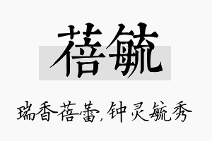 蓓毓名字的寓意及含义