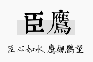 臣鹰名字的寓意及含义