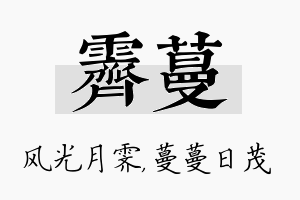 霁蔓名字的寓意及含义