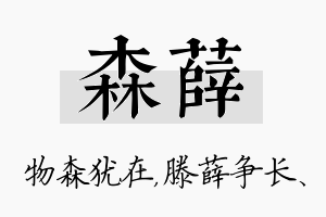 森薛名字的寓意及含义