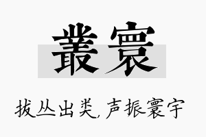 丛寰名字的寓意及含义