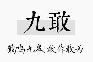 九敢名字的寓意及含义