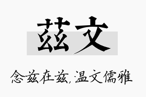 兹文名字的寓意及含义