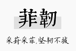 菲韧名字的寓意及含义