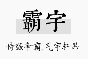 霸宇名字的寓意及含义