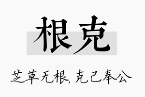 根克名字的寓意及含义