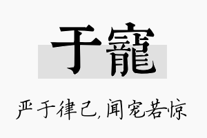 于宠名字的寓意及含义