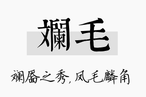 斓毛名字的寓意及含义