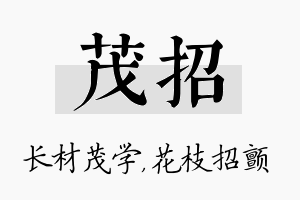 茂招名字的寓意及含义