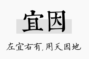 宜因名字的寓意及含义