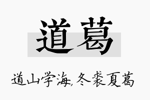 道葛名字的寓意及含义