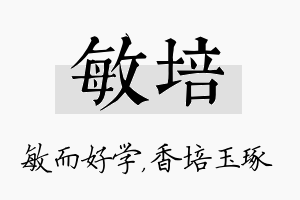 敏培名字的寓意及含义