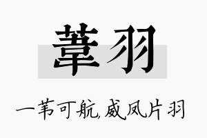 苇羽名字的寓意及含义