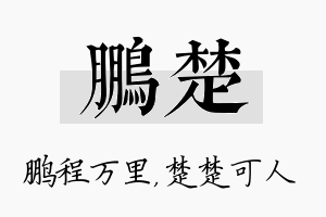 鹏楚名字的寓意及含义