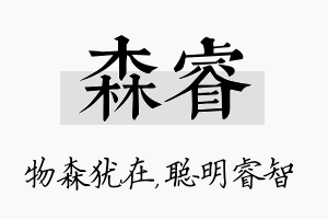 森睿名字的寓意及含义